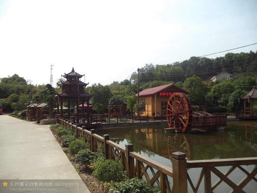 园林景观