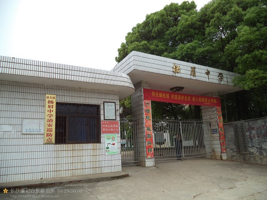 扬眉中学