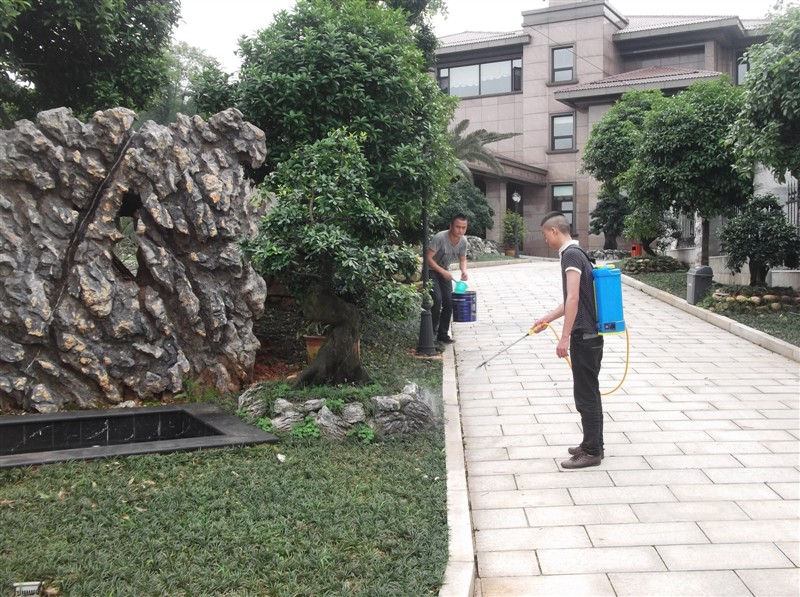 别墅园林